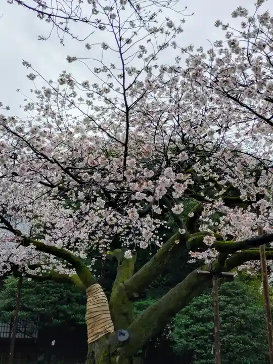 靖國神社(東京都)