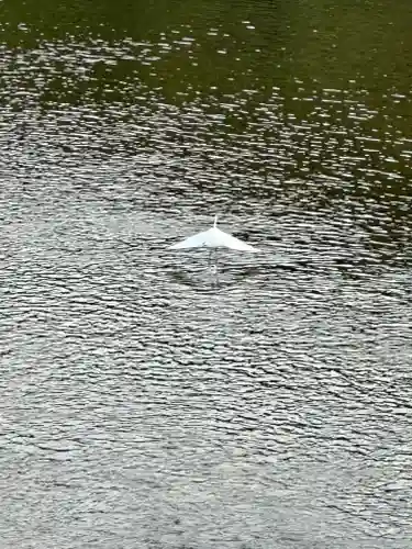 伊勢神宮内宮（皇大神宮）(三重県)