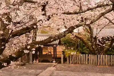 久妙寺(愛媛県)