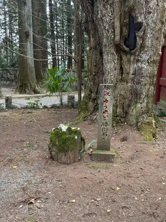 観音寺(寺山観音)の{uncategorized: "未分類", other: "その他", undefined: "問題あり", building: "その他建物", grave: "お墓", sacred_gate: "鳥居", guardian: "狛犬", statue: "像", buddha: "仏像", history: "歴史", nature: "自然", garden: "庭園", animal: "動物", pagoda: "塔", temizu: "手水舎", mountain_gate: "山門・神門", sanctuary: "本殿・本堂", subordinate: "末社・摂社", art: "芸術", scenery: "景色", jizo: "地蔵", ema: "絵馬", goshuin: "御朱印", omikuji: "おみくじ", items: "授与品その他", amulet: "お守り", goshuincho: "御朱印帳", eats: "食事", festival: "お祭り", votive_dance: "神楽", shichigosan: "七五三参", wedding: "結婚式", experience: "体験その他", initially: "初詣", around: "周辺", anti_infection: "感染症対策"}