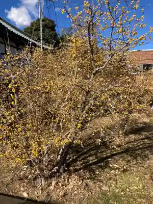 極楽寺(神奈川県)