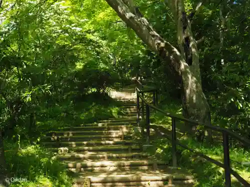 岡寺（龍蓋寺）(奈良県)