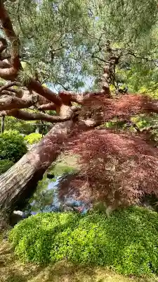 城南宮(京都府)