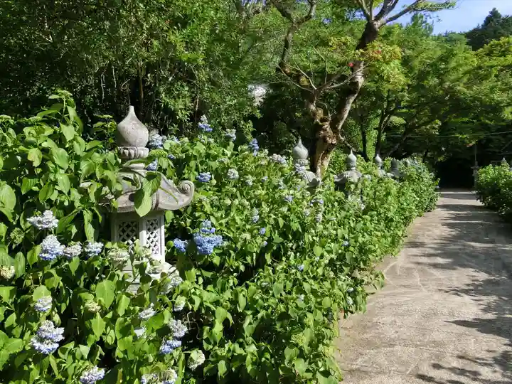 観音寺のその他建物