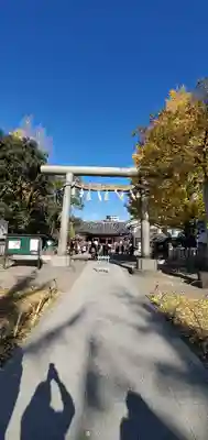 浅草神社の鳥居