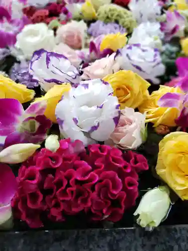 熊野神社の手水舎