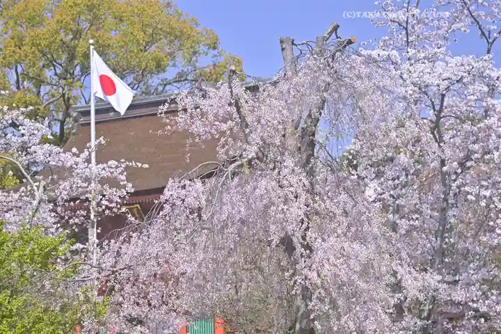富士山本宮浅間大社(静岡県)