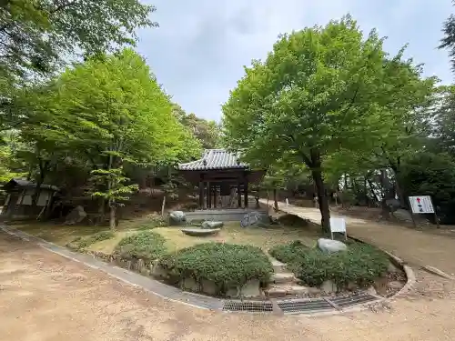 圓教寺の{uncategorized: "未分類", other: "その他", undefined: "問題あり", building: "その他建物", grave: "お墓", sacred_gate: "鳥居", guardian: "狛犬", statue: "像", buddha: "仏像", history: "歴史", nature: "自然", garden: "庭園", animal: "動物", pagoda: "塔", temizu: "手水舎", mountain_gate: "山門・神門", sanctuary: "本殿・本堂", subordinate: "末社・摂社", art: "芸術", scenery: "景色", jizo: "地蔵", ema: "絵馬", goshuin: "御朱印", omikuji: "おみくじ", items: "授与品その他", amulet: "お守り", goshuincho: "御朱印帳", eats: "食事", festival: "お祭り", votive_dance: "神楽", shichigosan: "七五三参", wedding: "結婚式", experience: "体験その他", initially: "初詣", around: "周辺", anti_infection: "感染症対策"}