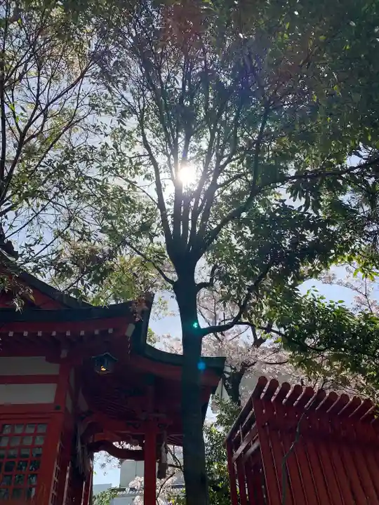 中津瀬神社のその他建物