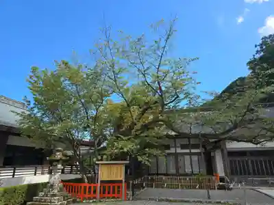 熊野那智大社(和歌山県)