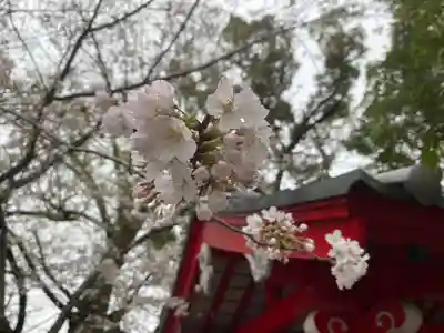 美奈宜神社(福岡県)