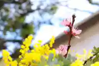 三津厳島神社の自然