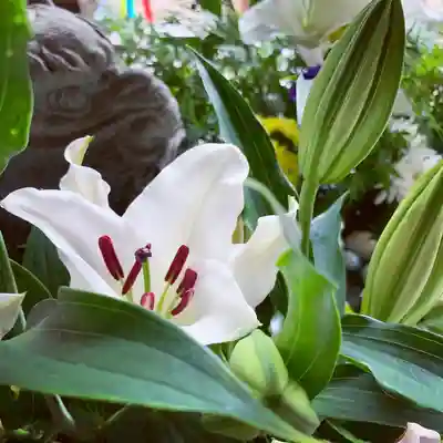 滑川神社 - 仕事と子どもの守り神の手水舎
