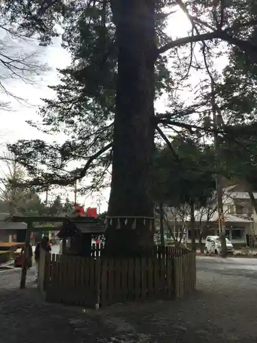 椿大神社(三重県)
