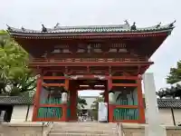 葛井寺の{uncategorized: "未分類", other: "その他", undefined: "問題あり", building: "その他建物", grave: "お墓", sacred_gate: "鳥居", guardian: "狛犬", statue: "像", buddha: "仏像", history: "歴史", nature: "自然", garden: "庭園", animal: "動物", pagoda: "塔", temizu: "手水舎", mountain_gate: "山門・神門", sanctuary: "本殿・本堂", subordinate: "末社・摂社", art: "芸術", scenery: "景色", jizo: "地蔵", ema: "絵馬", goshuin: "御朱印", omikuji: "おみくじ", items: "授与品その他", amulet: "お守り", goshuincho: "御朱印帳", eats: "食事", festival: "お祭り", votive_dance: "神楽", shichigosan: "七五三参", wedding: "結婚式", experience: "体験その他", initially: "初詣", around: "周辺", anti_infection: "感染症対策"}