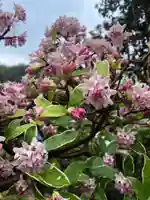 石内のお大師さん 金剛院(広島県)