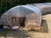 南僧尾観音堂(兵庫県)