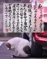 専念寺(大阪府)