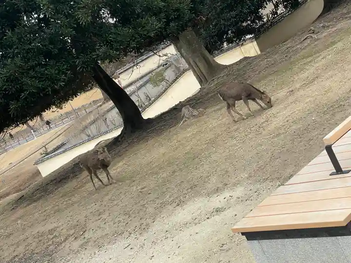 東大寺戒壇院戒壇堂(奈良県)