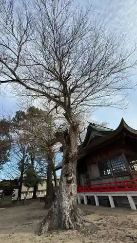 若宮神社(徳島県)