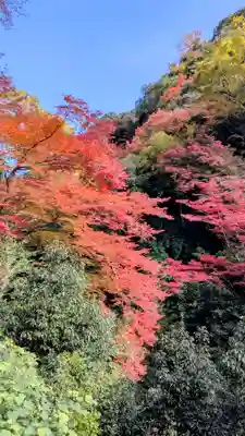 勝尾寺(大阪府)