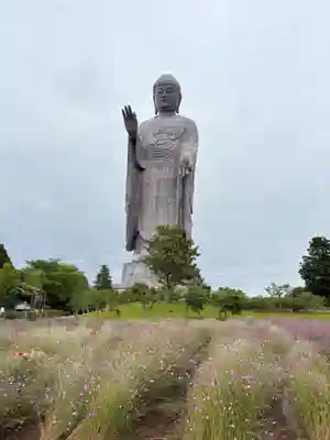 東本願寺本廟 牛久浄苑(牛久大仏)(茨城県)