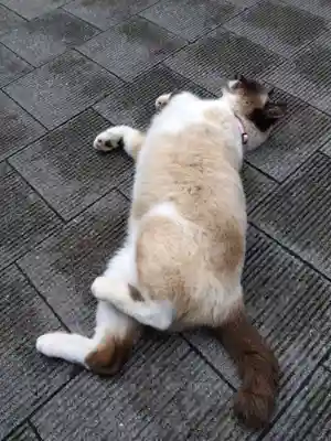 大林寺(兵庫県)