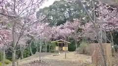 熊野若王子神社の自然