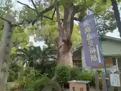 諏訪神社(大阪府)