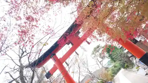 宇治上神社(京都府)