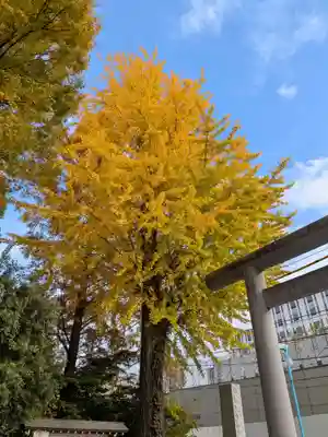 阿佐ヶ谷神明宮(東京都)