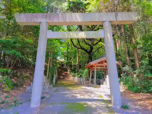 多度神社（夛度神社）の鳥居