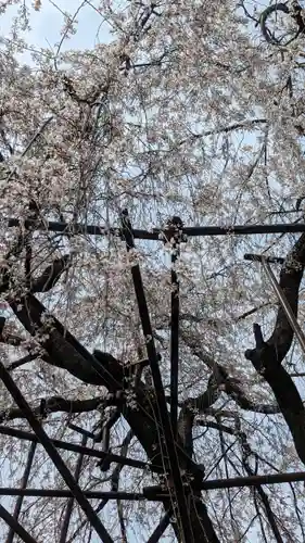 大報恩寺（千本釈迦堂）(京都府)