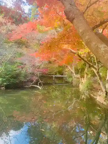 寂光院の景色