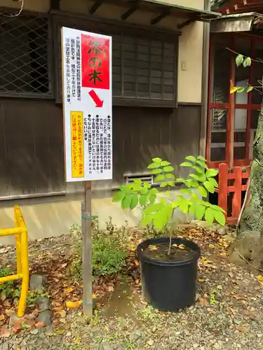 静岡浅間神社の自然