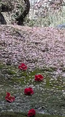 城南宮(京都府)