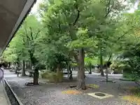 高徳院の自然