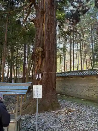 多田神社の自然