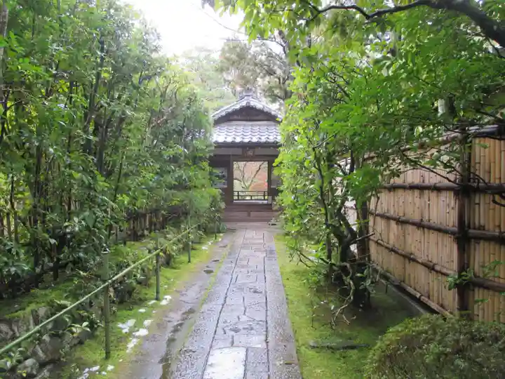 高桐院(京都府)