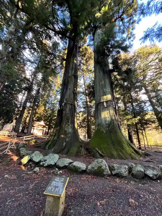 河口浅間神社(山梨県)