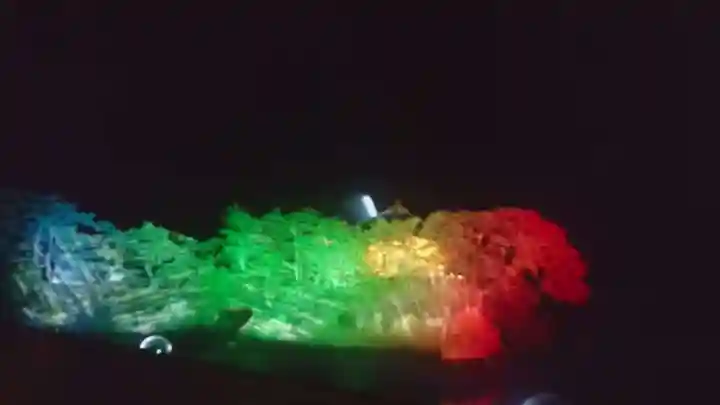 瑞巌寺五大堂(宮城県)