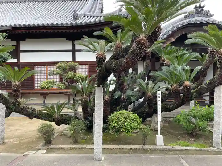 随鴎寺(兵庫県)