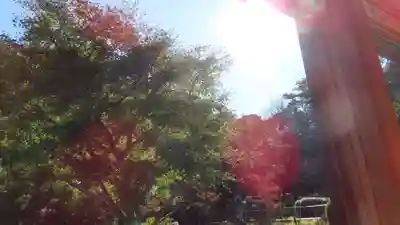 長壽寺（長寿寺）(神奈川県)