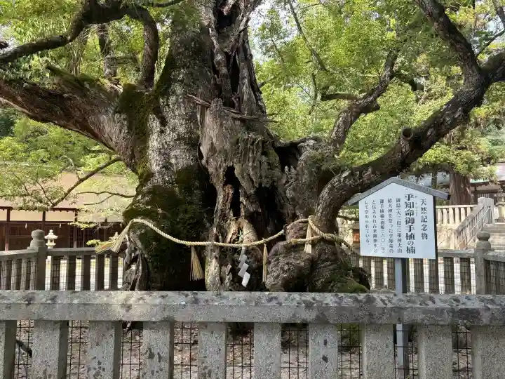 大山祇神社(愛媛県)