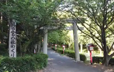 宮地嶽神社の手水舎