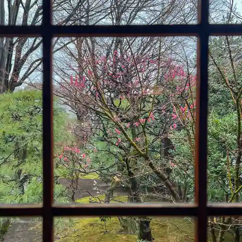 祥雲寺(東京都)