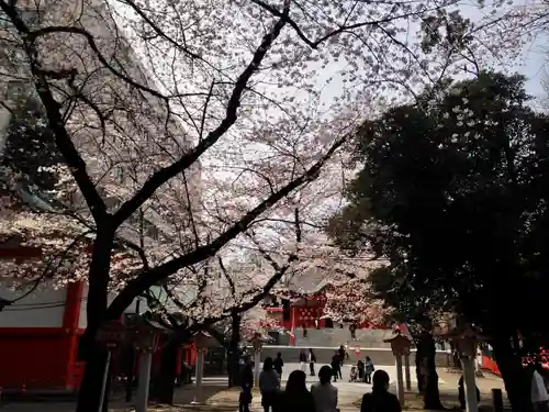 花園神社の景色