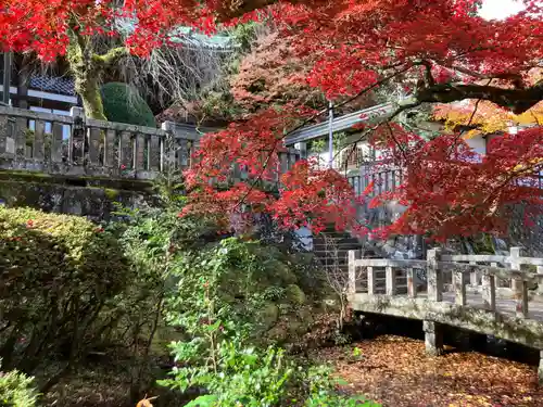 最乗寺（道了尊）(神奈川県)