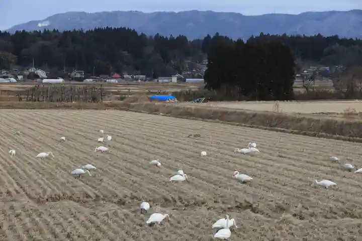 天満神社の周辺