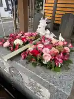 田無神社(東京都)